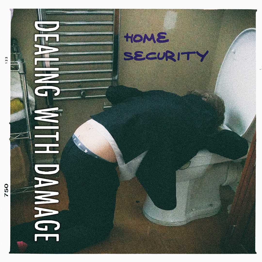 Home Security - Dealing With Damage